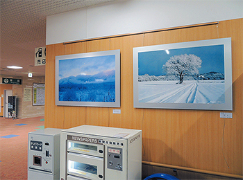 入院棟1 階の壁に展示した作品